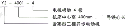YR系列(H355-1000)高压三相异步电机西安西玛电机型号说明 YR系列(H355-1000)高压三相异步电机西安西玛电机型号说明