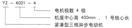 Y2系列三相异步电机技术参数——押注游戏（押注赚钱平台）官方网站